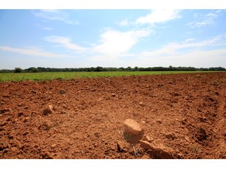 TRACT 3 - SIGNIFICANT LAND & PRODUCING MINERALS AUCTION - 237 +/- SURFACE ACRES IN 4 TRACTS - 18 MINERAL PACKAGES IN GARVIN, MCCLAIN, GRADY & ROGER MILLS COUNTIES, OK - 6 Mo. AVG. CASH FLOW of $196,376/Mo.